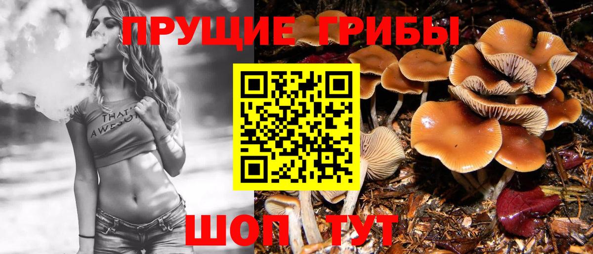 Шебекино  Псилоцибиновые грибы GOLDEN TEACHER  Вход с VPN 
